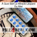À Quoi Sert Le Miracle Léopard Du Miel 39